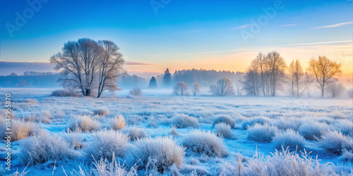 Frost covers a quiet field with trees in the background during early morning light in winter