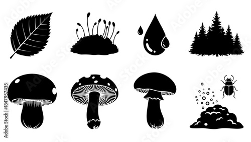 Forest and fungus icons set mushrooms, leaf, moss, water drop, trees, and beetle silhouette elements