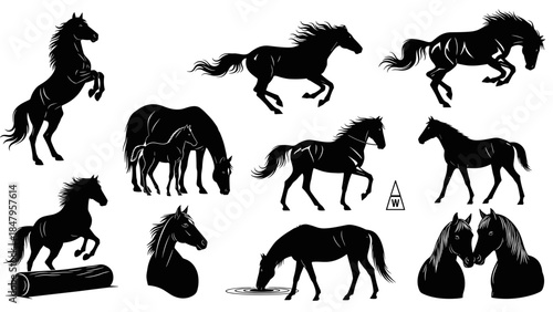 Set of horse silhouettes vector collection with various poses for equestrian sport and farm life