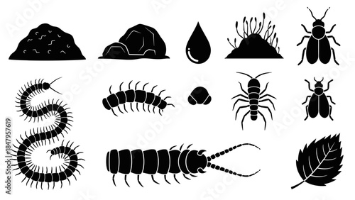 Collection of pest and insect icons set silhouette vector for garden and home control