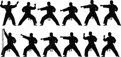 Martial arts silhouette illustration set, kata and stance poses, traditional uniform, black vector artwork, white background, combat theme