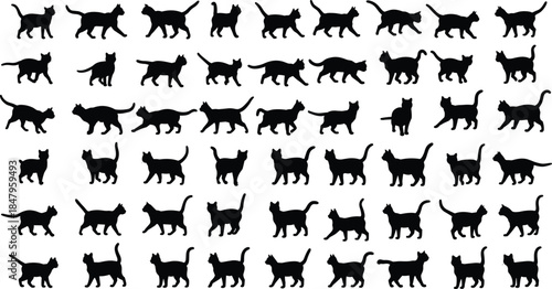 Collection of Black Cat Silhouettes in Various Poses and Actions on White Background animal feline