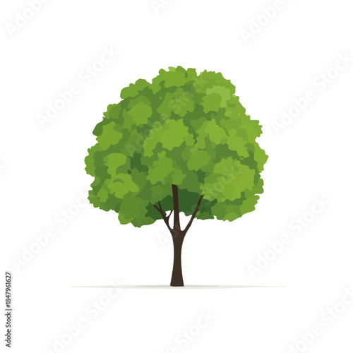 Clean 2D flat vector depiction of a Plane Tree, designed in minimalist modern style with white background.