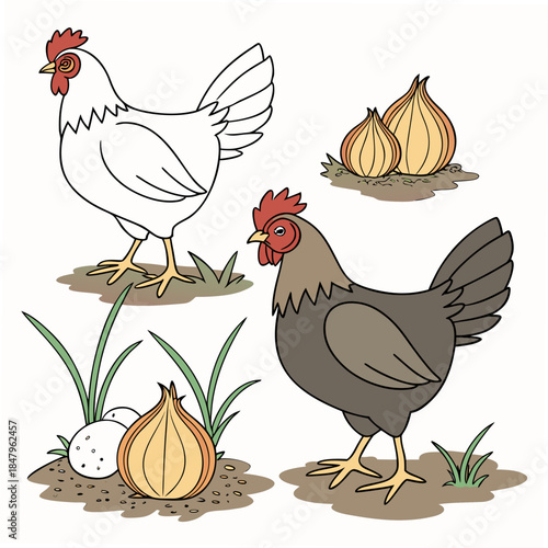 Cartoon chickens and onions with grass and dirt hens