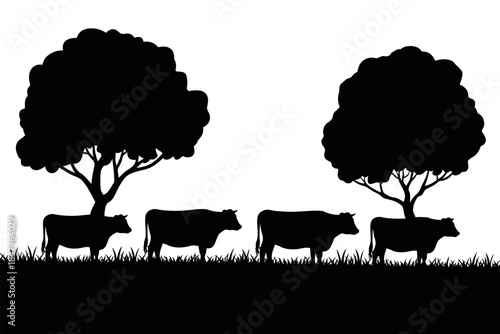 Black Silhouette Cows Grazing in a Grassy Field Under Trees, Representing Cattle and Livestock in a Peaceful Rural Scene