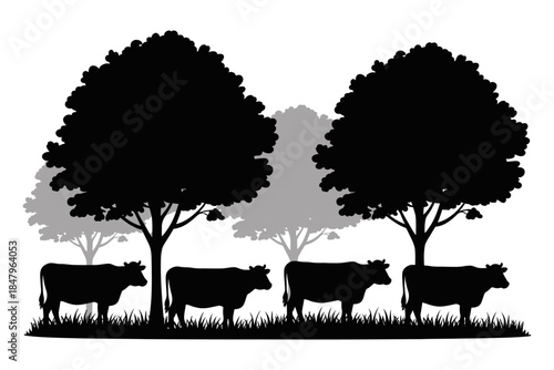 Black Silhouette Cows Grazing in a Grassy Field Under Trees, Representing Cattle and Livestock in a Peaceful Rural Scene