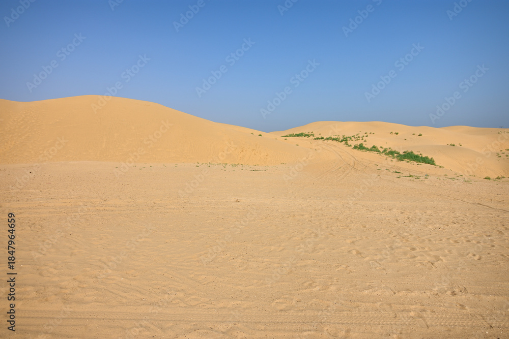 Fototapeta premium Expansive Desert Dunes Under Clear Blue Sky