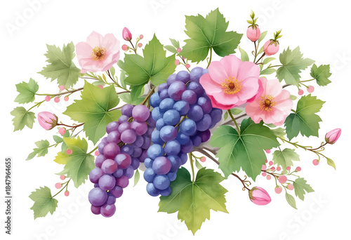This artwork features a cluster of ripe purple grapes surrounded by delicate pink blossoms and green leaves, showcasing natures beauty and vibrant colors.