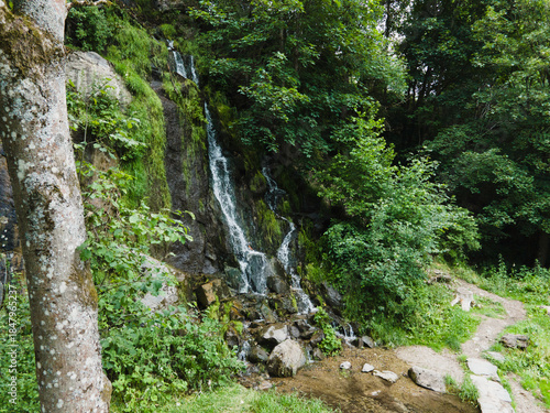 Königshütte Waterfall in the Harz Mountains, Germany