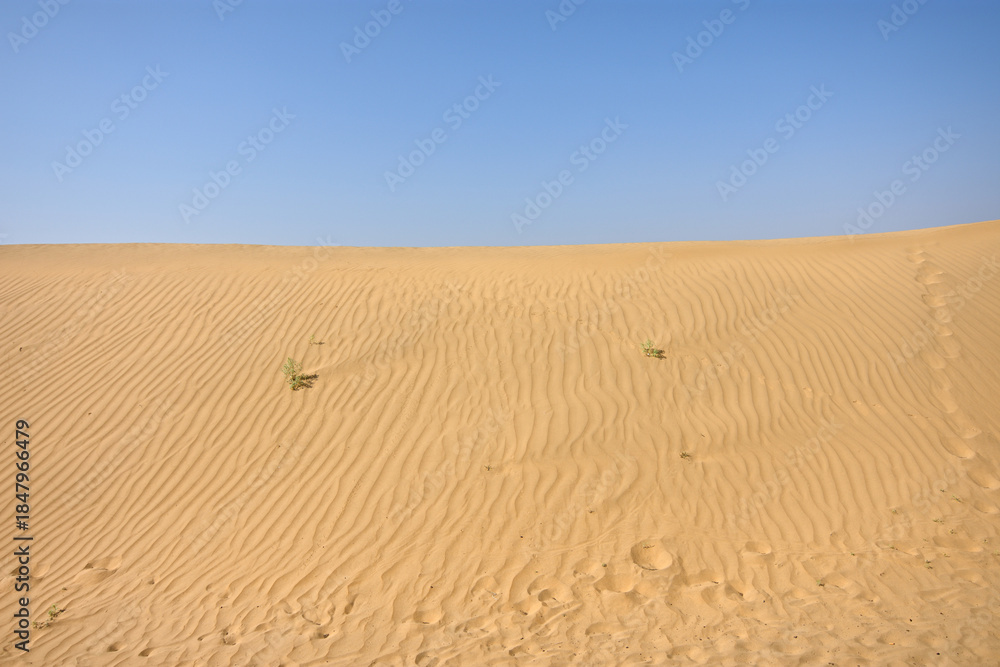 Naklejka premium Vast Desert Landscape with Sand Dunes