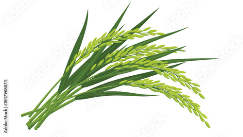 A vibrant illustration depicts a bundle of ripening rice stalks with lush green leaves, symbolizing harvest and agricultural abundance.