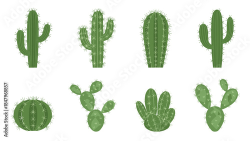 Collection of various green cacti and prickly pear plants in a flat vector illustration style, perfect for desert or southwestern themes.