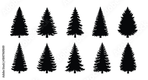 A collection of black silhouette pine trees arranged in a grid pattern