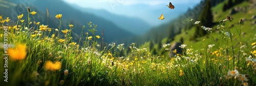 Stunning Panoramic View of Idyllic Mountains and Blooming Meadows in a Vibrant Spring Atmosphere