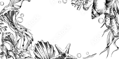 Undersea hand-drawn line art horizontal template frame with jellyfish, seashell, starfish and corals. Underwater world graphic illustration for background design. Outline graphic illustration