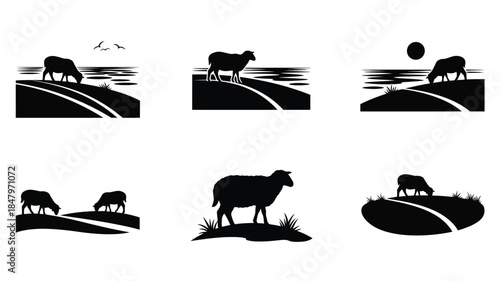 Silhouetted sheep grazing on a rolling landscape under a bright sun