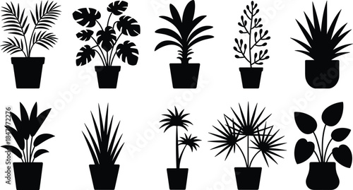 Potted plant silhouette vector set with diverse leaf shapes and pot styles for interior, decor, and botanical themes.