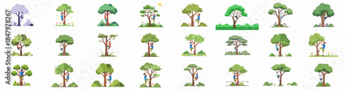Vector illustration set of boys and men climbing different styles of trees in natural parks, representing nature connection and childhood adventure.