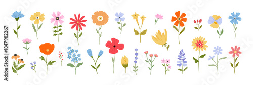 Wildflower and flower bloom set. Botanical garden elements, meadow field with spring blossom and summer foliage. Daisy and poppy, lavender and pansy rustic boho design. Floral vector isolated set