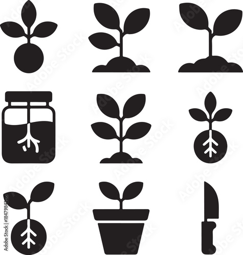 Plant propagation, cutting roots, water jar, gardening knife, horticulture symbol, botanical science, seedling clone, grow plants, agriculture tool, nature reproduction