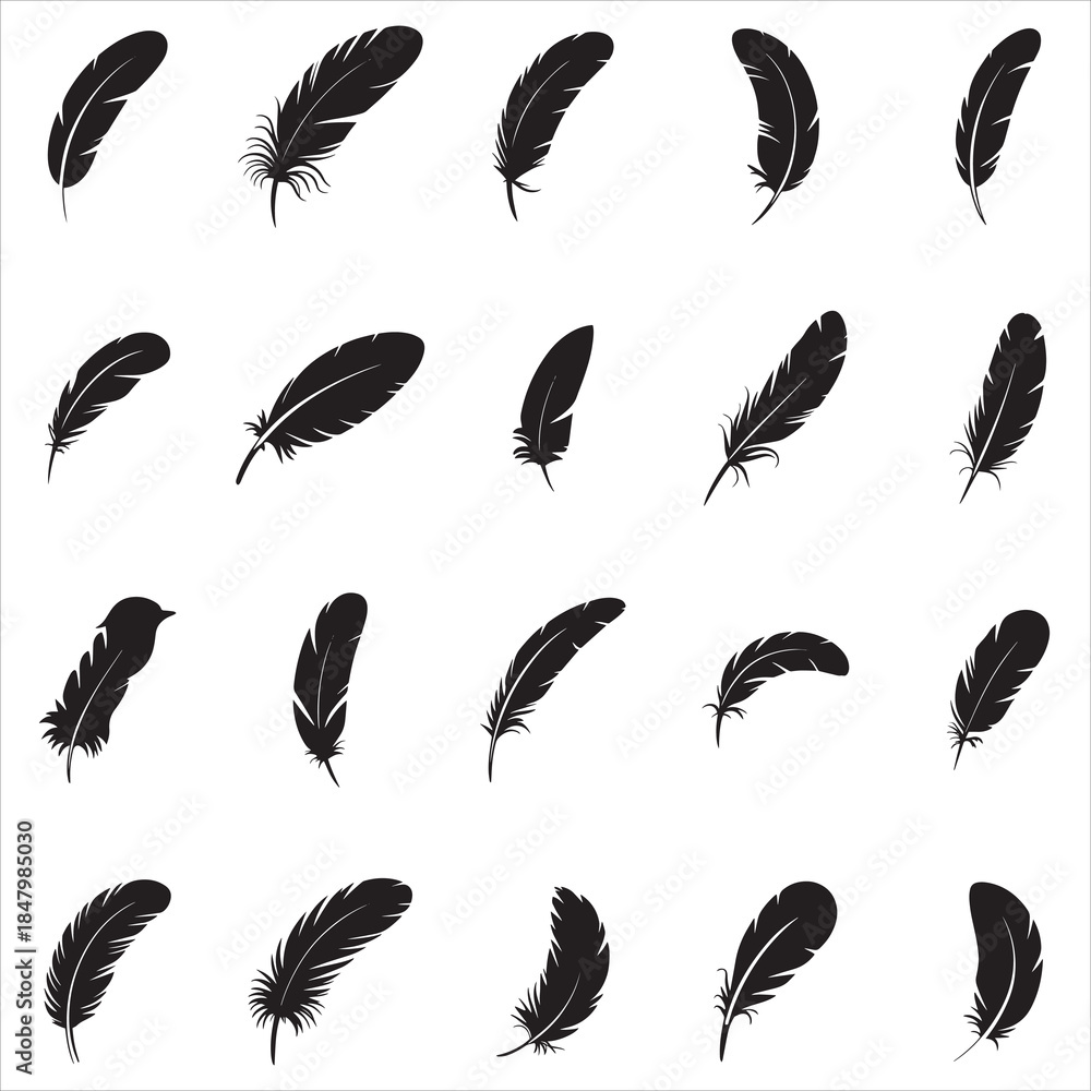 Fototapeta premium Feathers Silhouette Clip Ar
