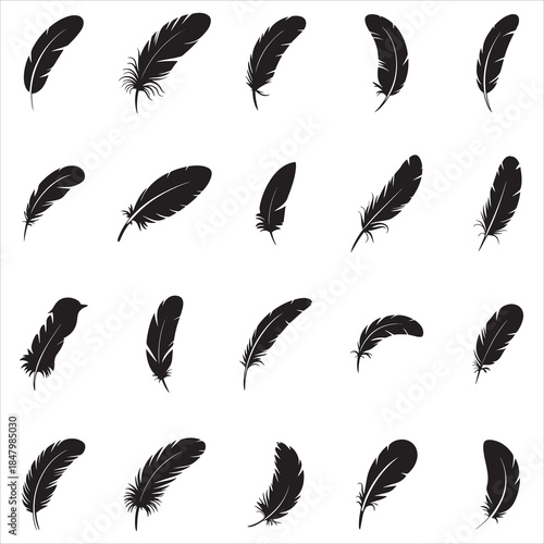 Feathers Silhouette Clip Ar