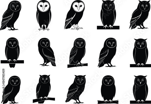 Collection of Fifteen Black and White Owl Silhouettes in Various Poses, Featuring Barn Owls and Horned Owls for Nature, Wildlife, and Wisdom Concepts.