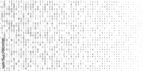 Matrix Background Vector. Binary Code Matrix. Black And White Digital Background With Digits On Screen. Data Technology Illustration. Binary Computer Code. Coding. Hacker concept.