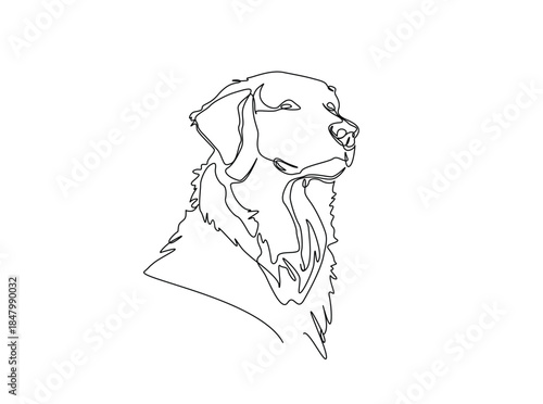 Single Continuous Line Drawing of adorable golden retriever dog head. Dog head simple illustration.