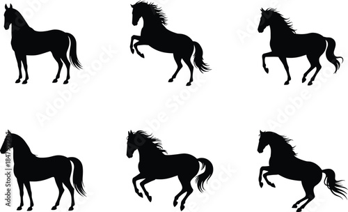 Black silhouette horse illustrations, standing and rearing poses, equine vector art for animal design, farm themes, wildlife, ranch, and equestrian projects