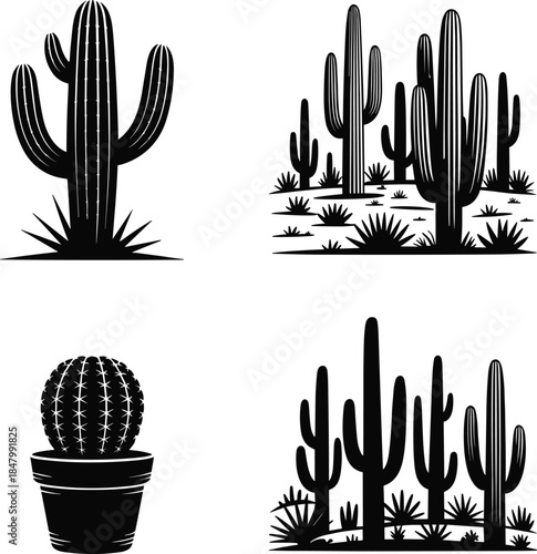 Black silhouette of cactus and succulent plants, potted cactus, desert cactus landscape, various cactus shapes and desert vegetation vector icons
