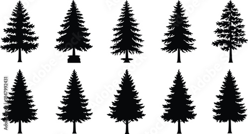 Black pine tree silhouette collection, evergreen conifer forest icons, winter fir illustration set, Christmas tree shapes, woodland nature graphic elements