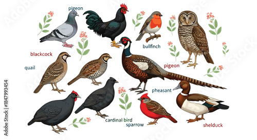 Black Silhouette of the Scales of Justice Vector Icon: Symbol of Law, Balance, Equality, Fair Judgment, and Legal System Concepts and Design.