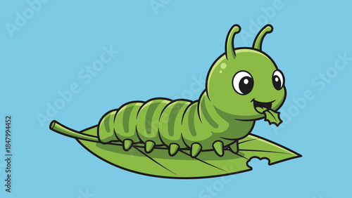 Green caterpillar on leaf