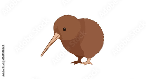 Animated kiwi bird illustration showcasing its unique elongated beak and simple design