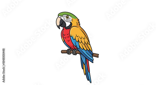 Colorful cartoon macaw perched on a branch against a bright white backdrop illustration