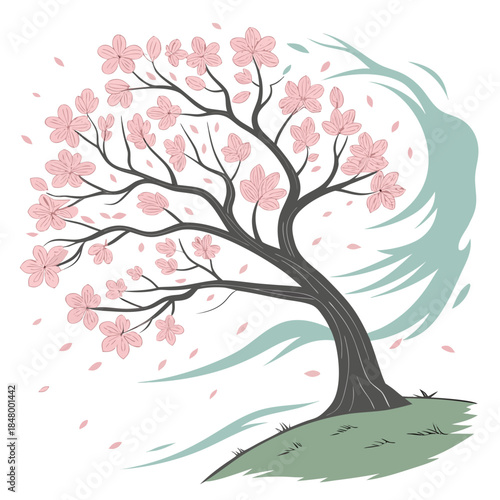 Blossoming cherry tree in wind