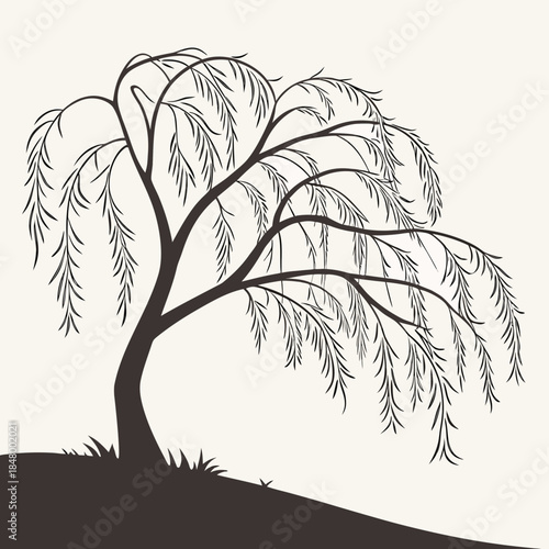 Willow tree silhouette
