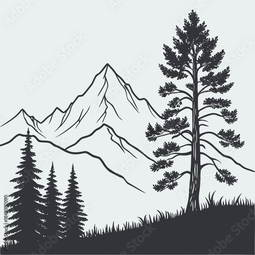 Mountain landscape with pine trees