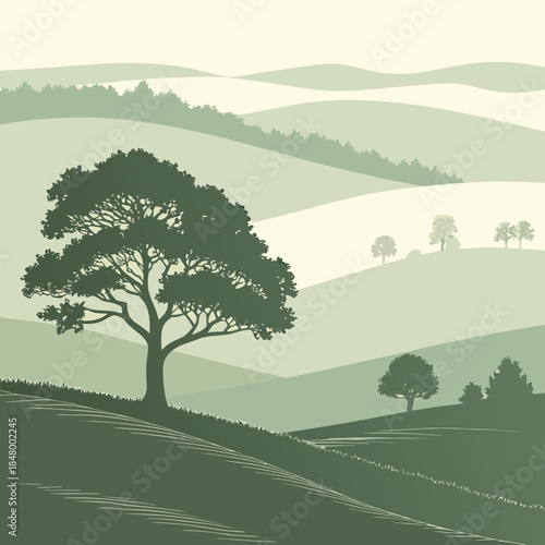 Serene countryside tree landscape