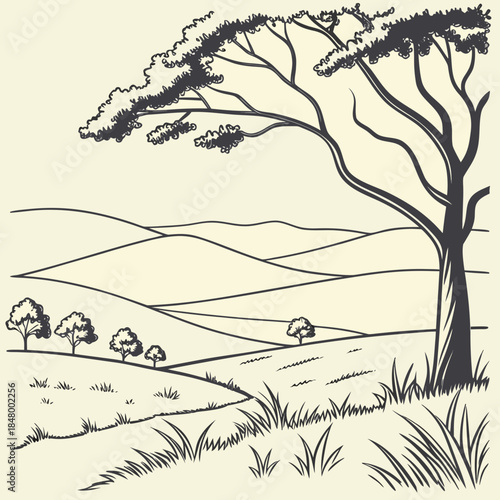 Lone tree overlooking rolling hills