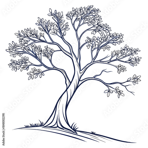 Elegant tree sketch on grass