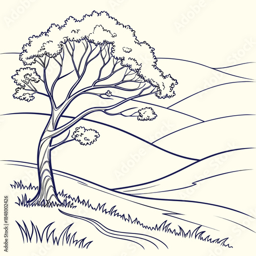 Lone tree in rolling hills