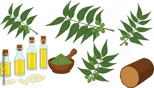 Neem tree products illustration, herbal medicine concept, green leaves, neem oil bottles, capsules, powder, organic remedy, Ayurvedic healing