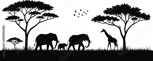 African safari wildlife silhouette scene, elephants and giraffe under acacia trees, savanna landscape with birds, sunset nature vector illustration design