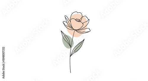 Elegant one-line drawing of a flower with leaves complemented by abstract pastel color shapes for a minimalist botanical design.