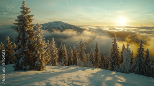 Winter mountain sunrise, snow-covered pines, sunlit peaks above clouds