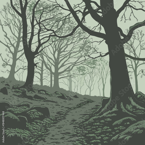 Dark green forest with bare trees on a hill