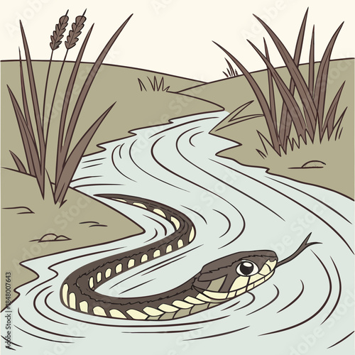Snake swimming in winding stream with cattails water