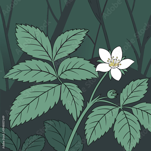 White flower with green leaves on a stem plant nature